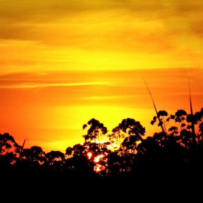 1920 x 1080 HD Wallpapers 2786